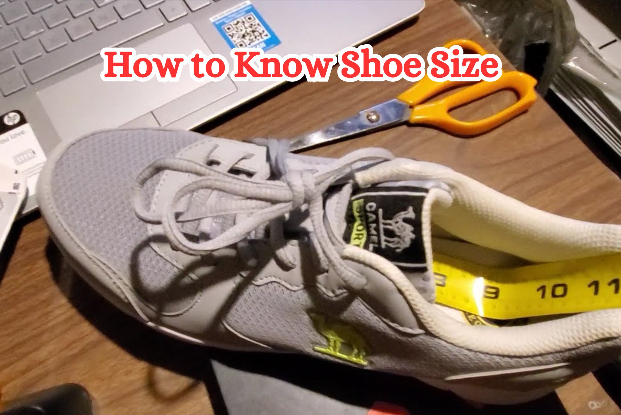 How to Know Shoe Size